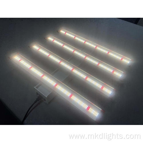 Cheap 600 Watt Led Grow Lights For Sale